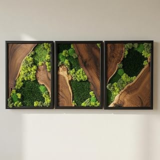 Moss Wall Decor Preserved Moss Art in Solid Cedar Wood Frame | Natural W...