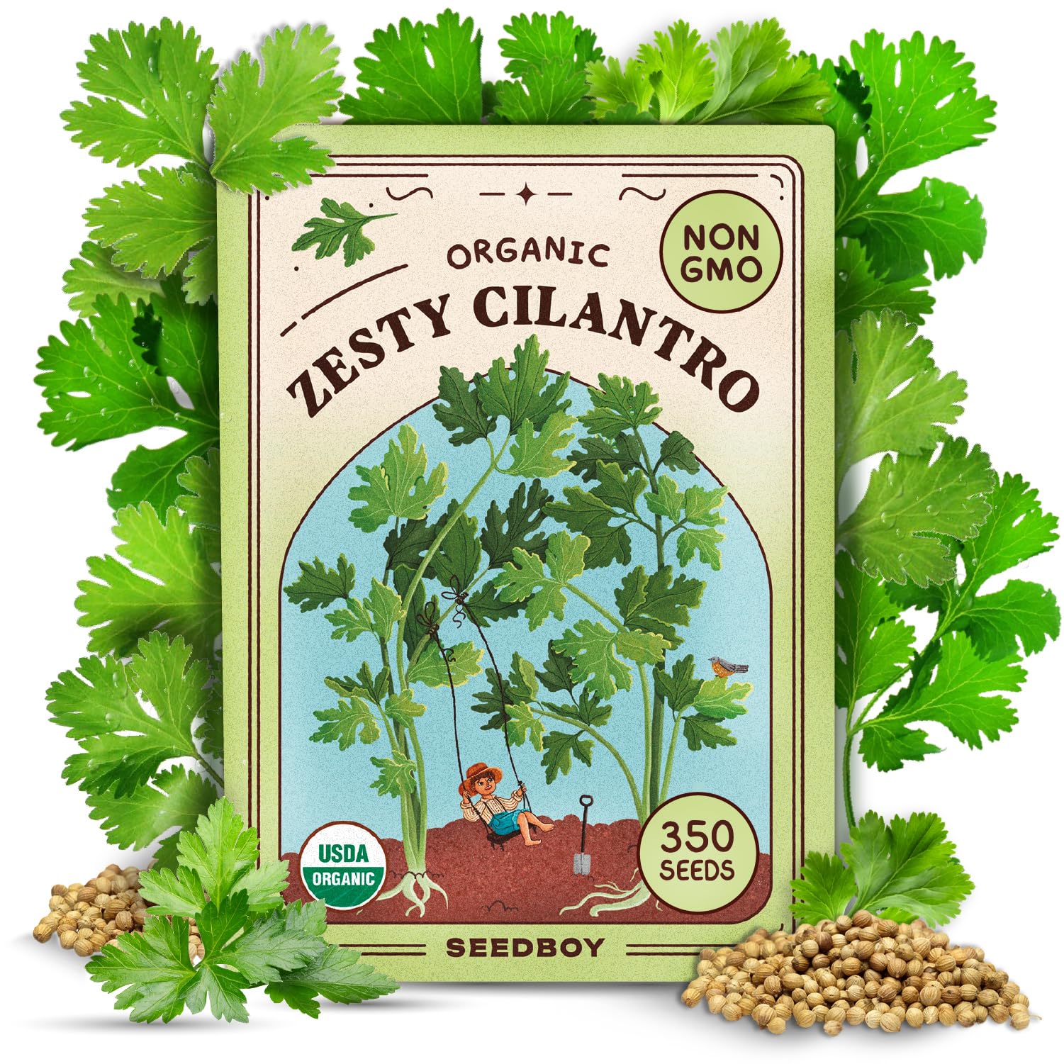 Seedboy Organic Cilantro 'Slow Bolt' Seeds for Planting Indoor and Outdoor, Non-GMO and USDA Certified Herb Seed Packet for Hydroponic Garden Indoor or Planting Outdoors (Cilantro)
