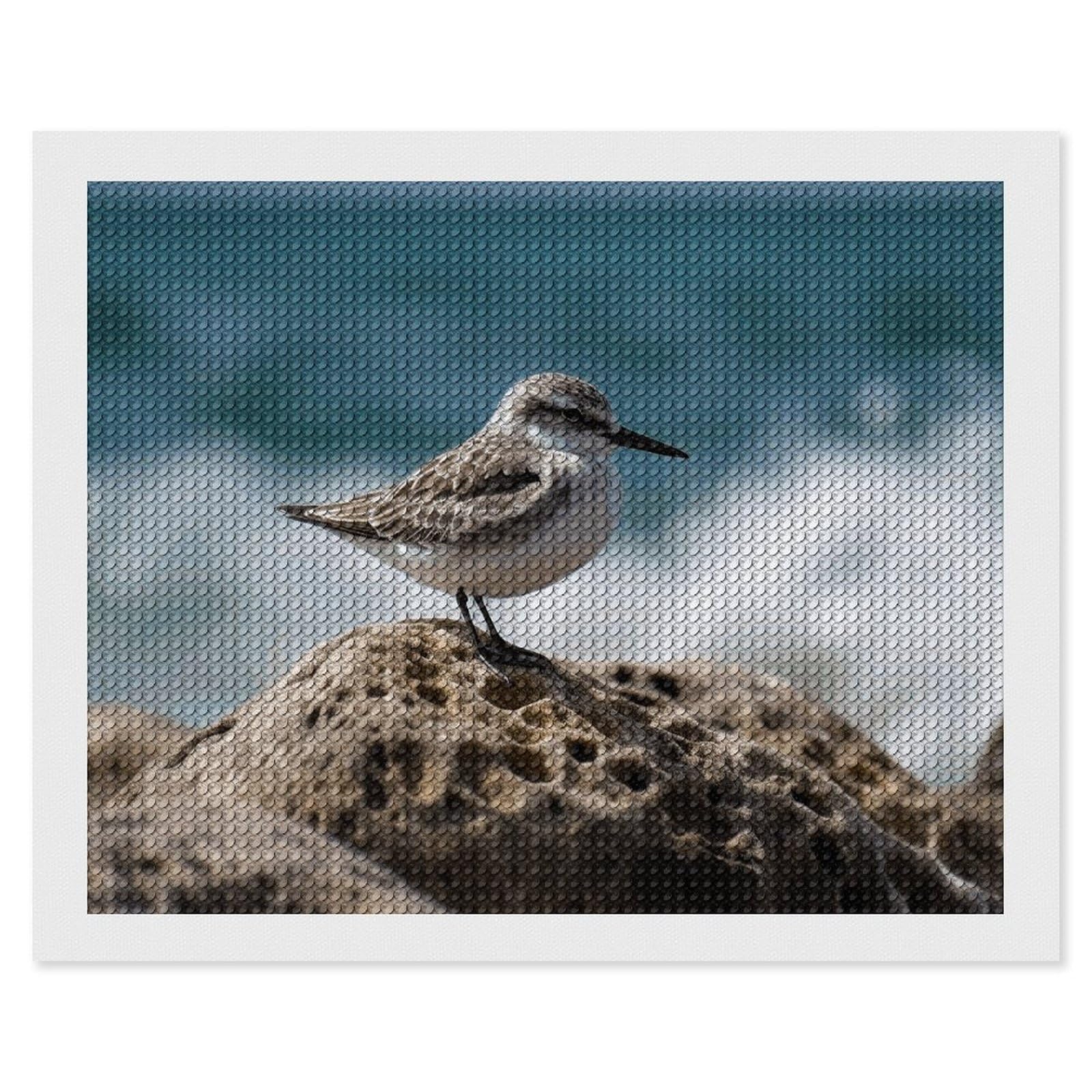 Diamond Painting Kits for Adults - DIY Diamond Art Kits for Beginners - Full 5D Paint Drill Diamond Dots Paintings- Bird Perching on The Rock Diamonds Pictures Gem Art And Craft Wall Decor 16"x20"
