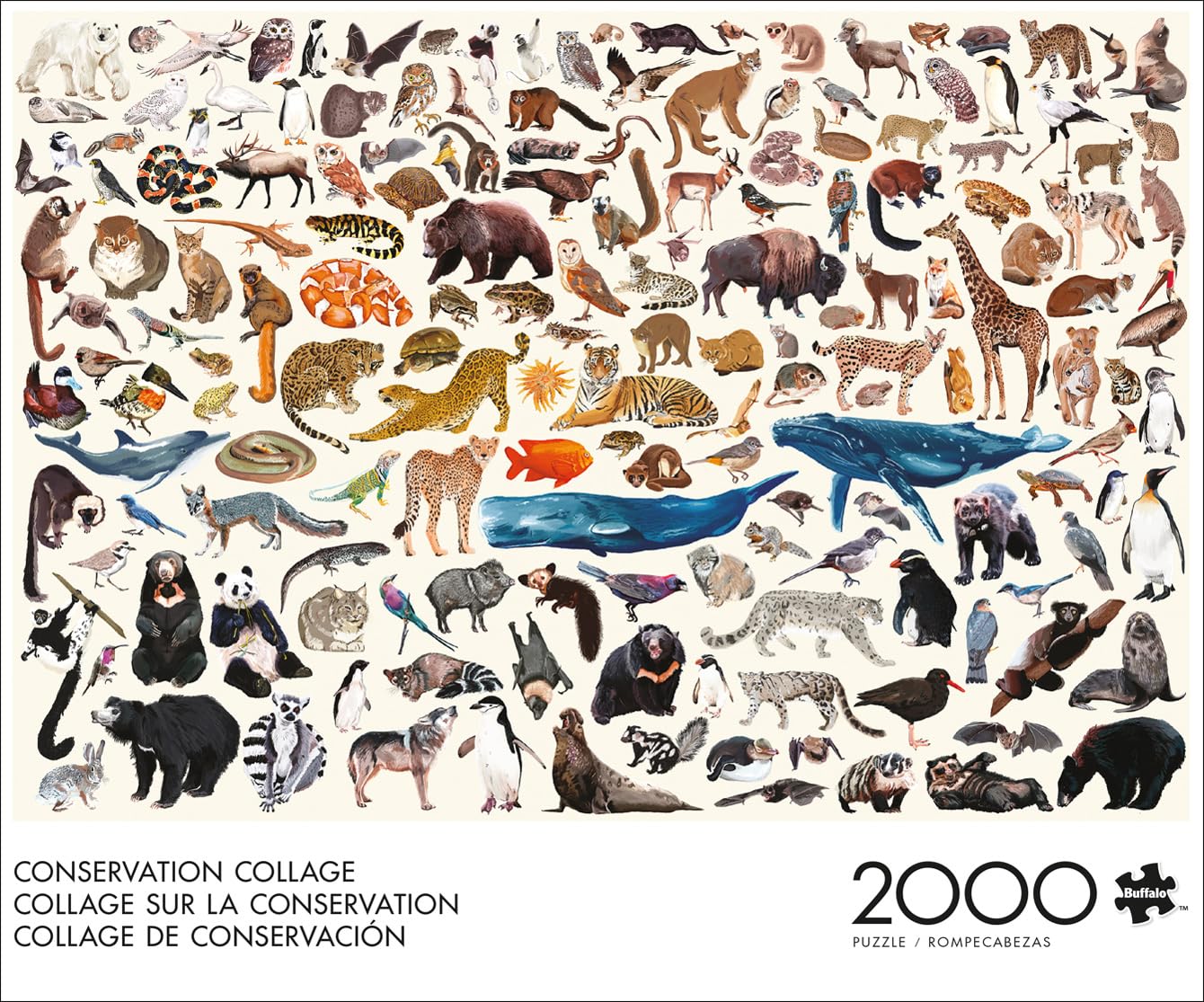 Buffalo Games - Kara Mohr – Collage de Conservation – Puzzle de 2000 pièces pour Adultes – Puzzle Stimulant Parfait pour Les soirées de Jeu – Taille finie : 38,50 x 26,50 cm