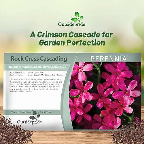 Miniatura 5 de Outsidepride Cascade Red Aubrieta - Semillas de berro de roca  2000 piezas de semillas de flores perennes, fáciles de cultivar, bajo mantenimiento,