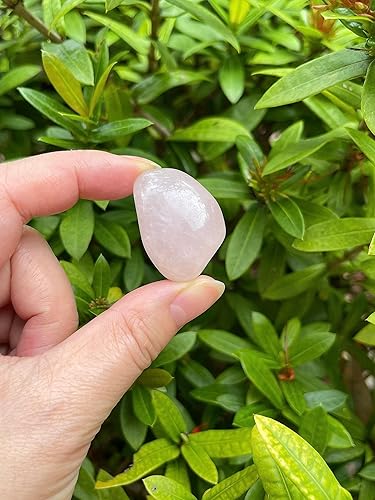 Miniatura 8 de GAF TREASURES Piedras pulidas de 12 libra, piedra preciosa pulida, piedras pulidas, cristales caídos, piedras para Wicca, Reiki, terapia, meditación