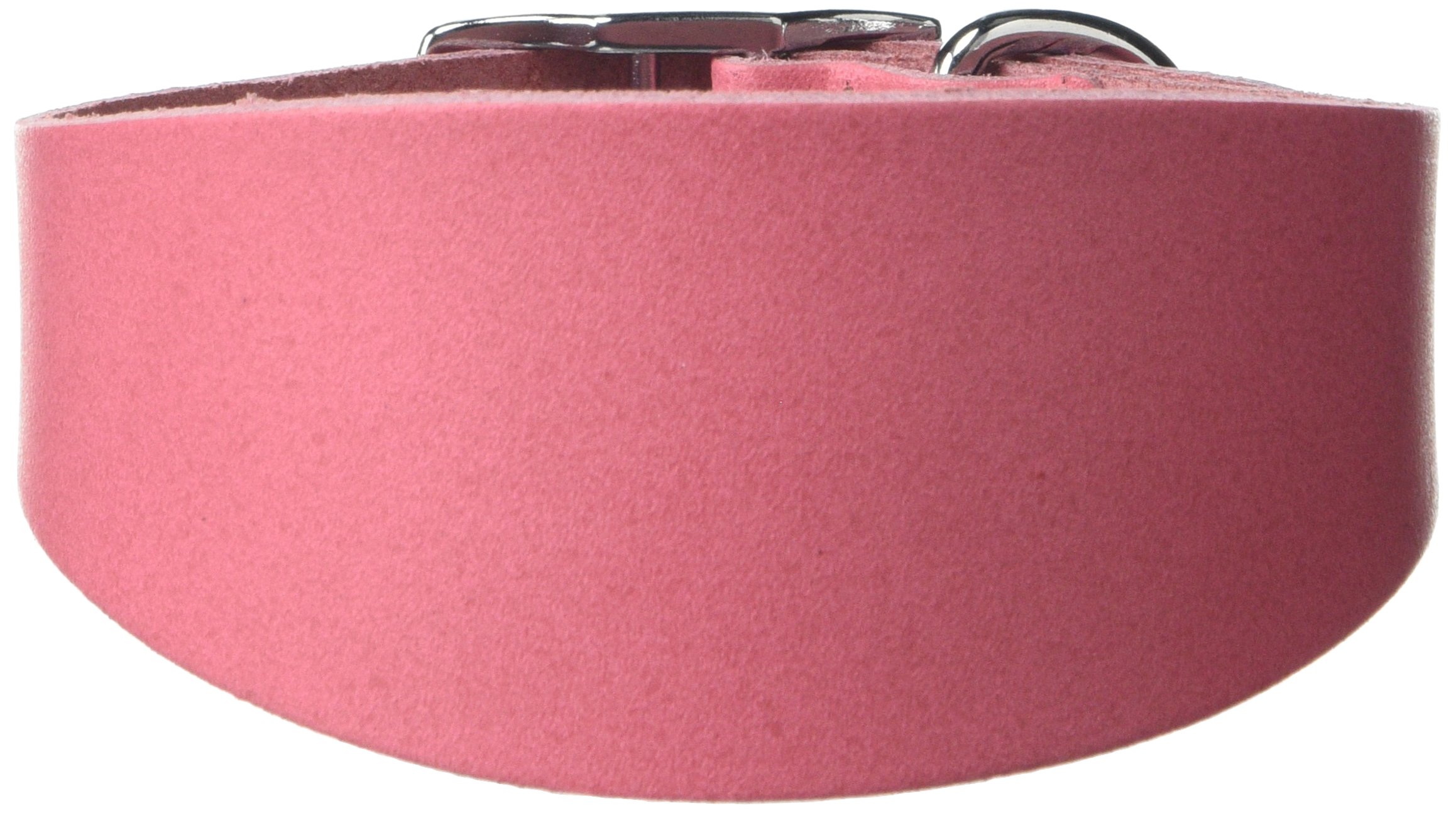 BBD Pet Products Budget Whippet Collar, One Size, 3/4 x 10 to 12-Inch, Pink