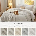 Bedsure Queen Size Comforter Set, Beige Soft Prewashed Bedding for All Seasons, 3 Pieces Warm Down Alternative Bed Set, 1 Lightweight Comforter (90"x90") and 2 Pillowcases (20"x26")
