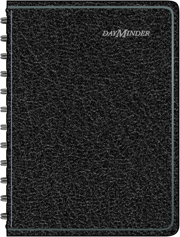 DayMinder 2015 Daily Appointment Book, Black, 4.88 x 8.25 x .50 Inches (SK44-00)
