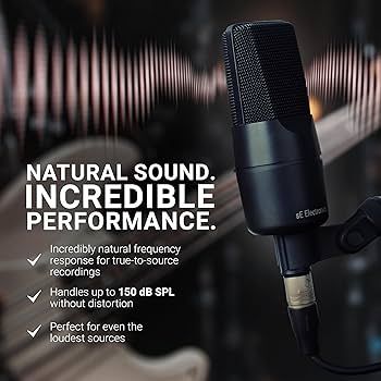 Amazon | sE Electronics X1A コンデンサーマイク【国内正規品