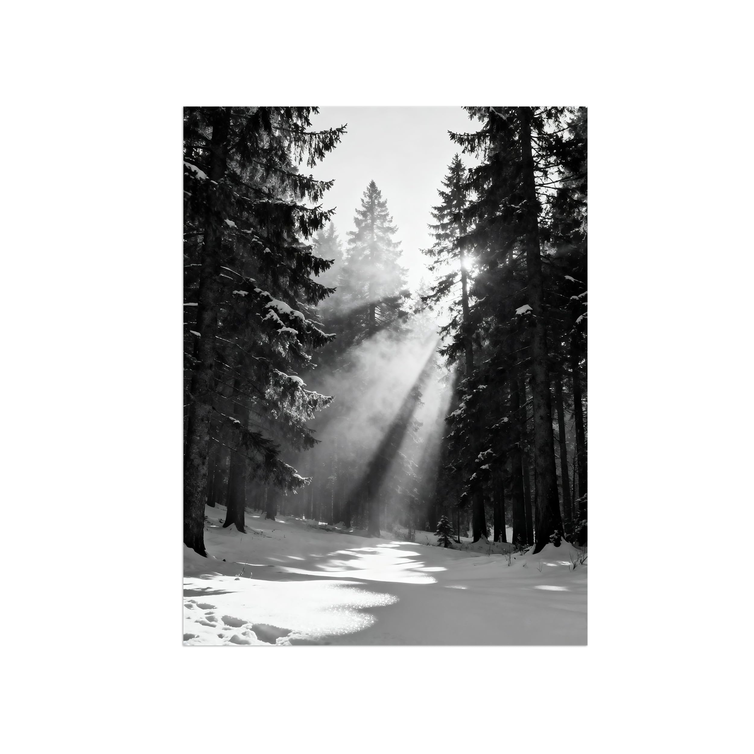 Black White Landscape Wall Art. Winter Forest. Picture 70x90cm Framed