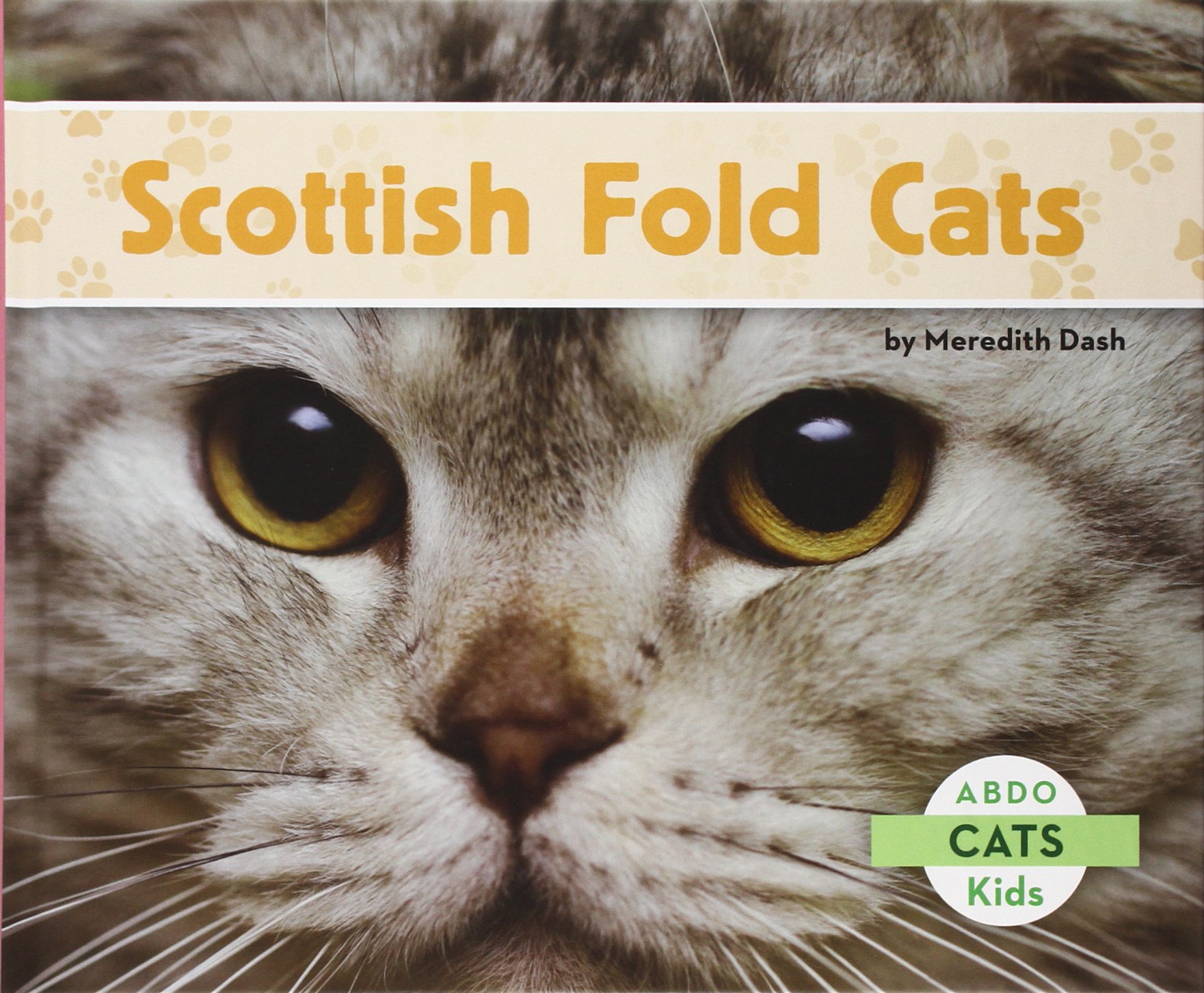 Scottish Fold Cats Library Binding – Illustrated, August 1, 2014