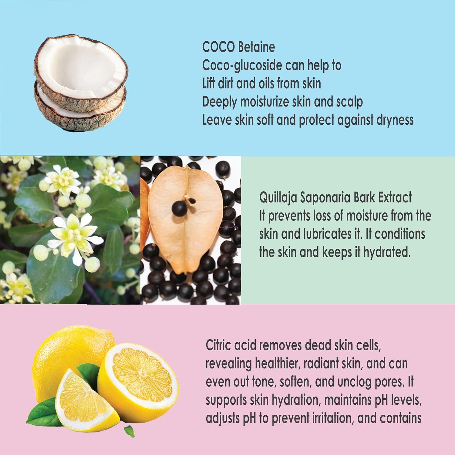 KIOVE- Gentle Foaming Facial Cleanser with Coconut Oil, Rose Water & Chlorella – Hydrating, Non-Comedogenic, Self-Foaming Pump, for Sensitive Skin, K-Beauty