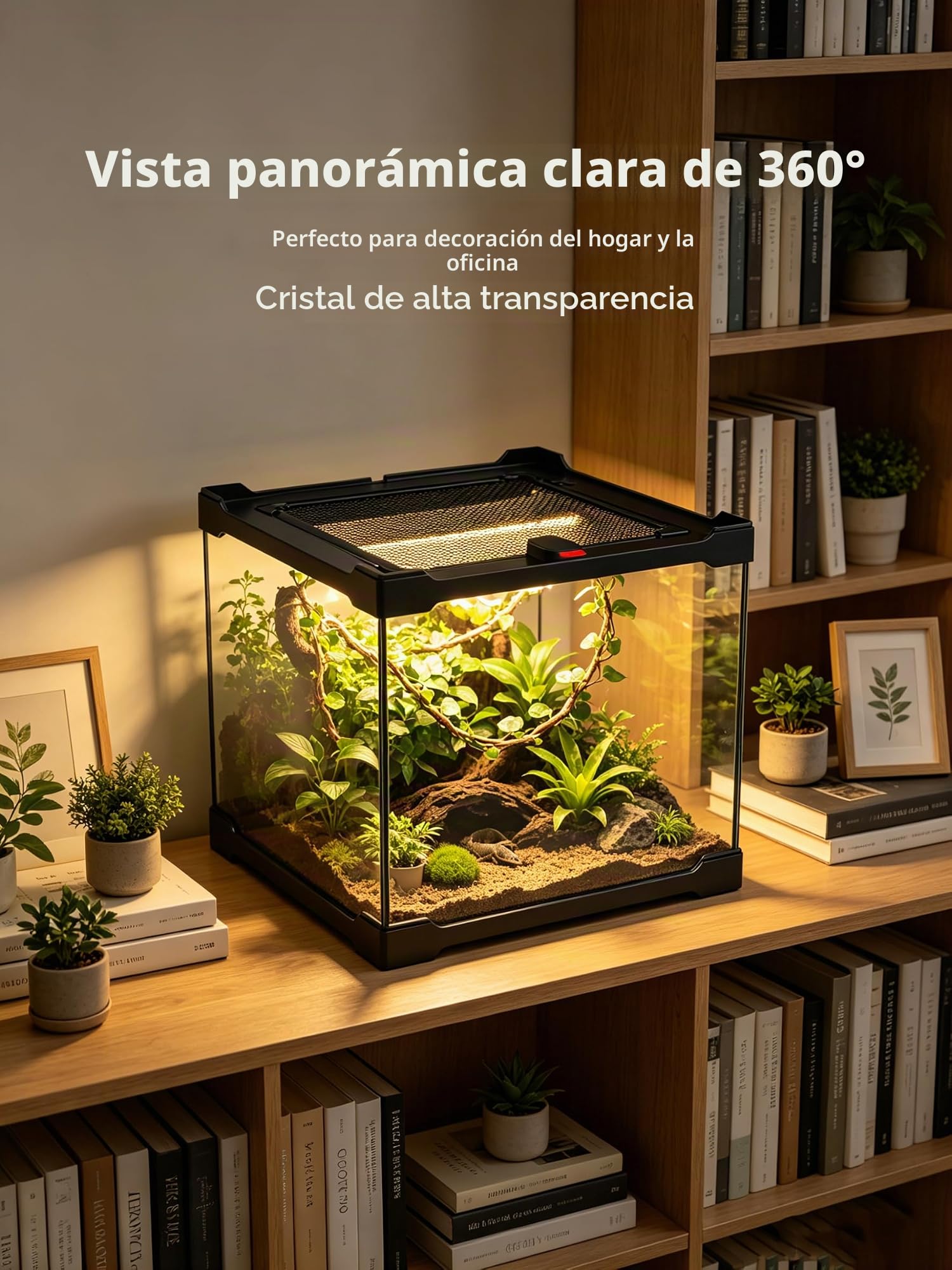 Terrarium Reptile - Terrario de cristal para reptiles y plantas (20 x 20 x 17 cm, con manta de ventilación)