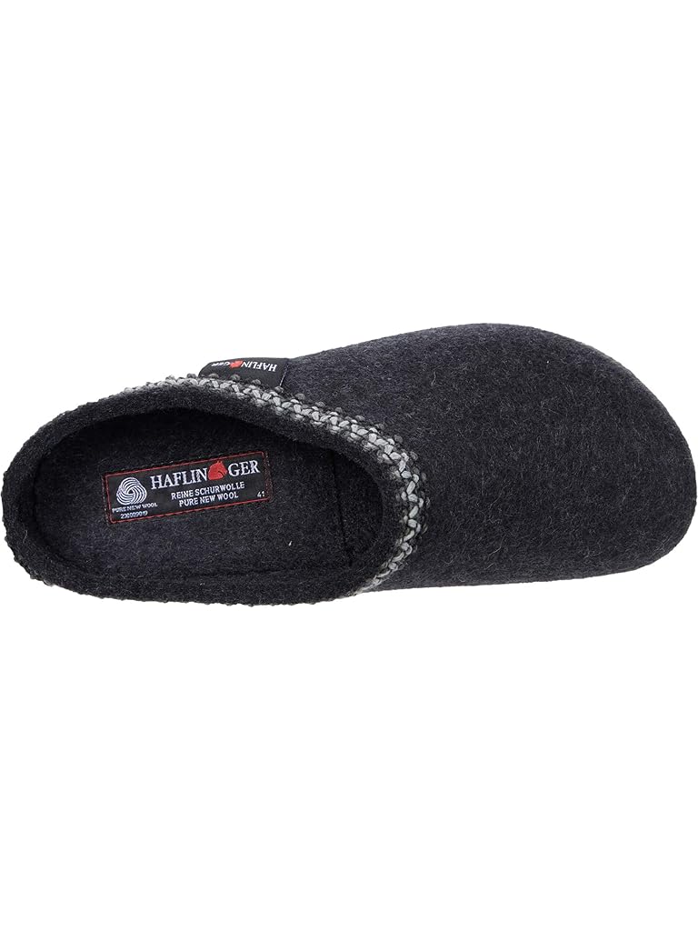 Black Haflinger Zig Zag