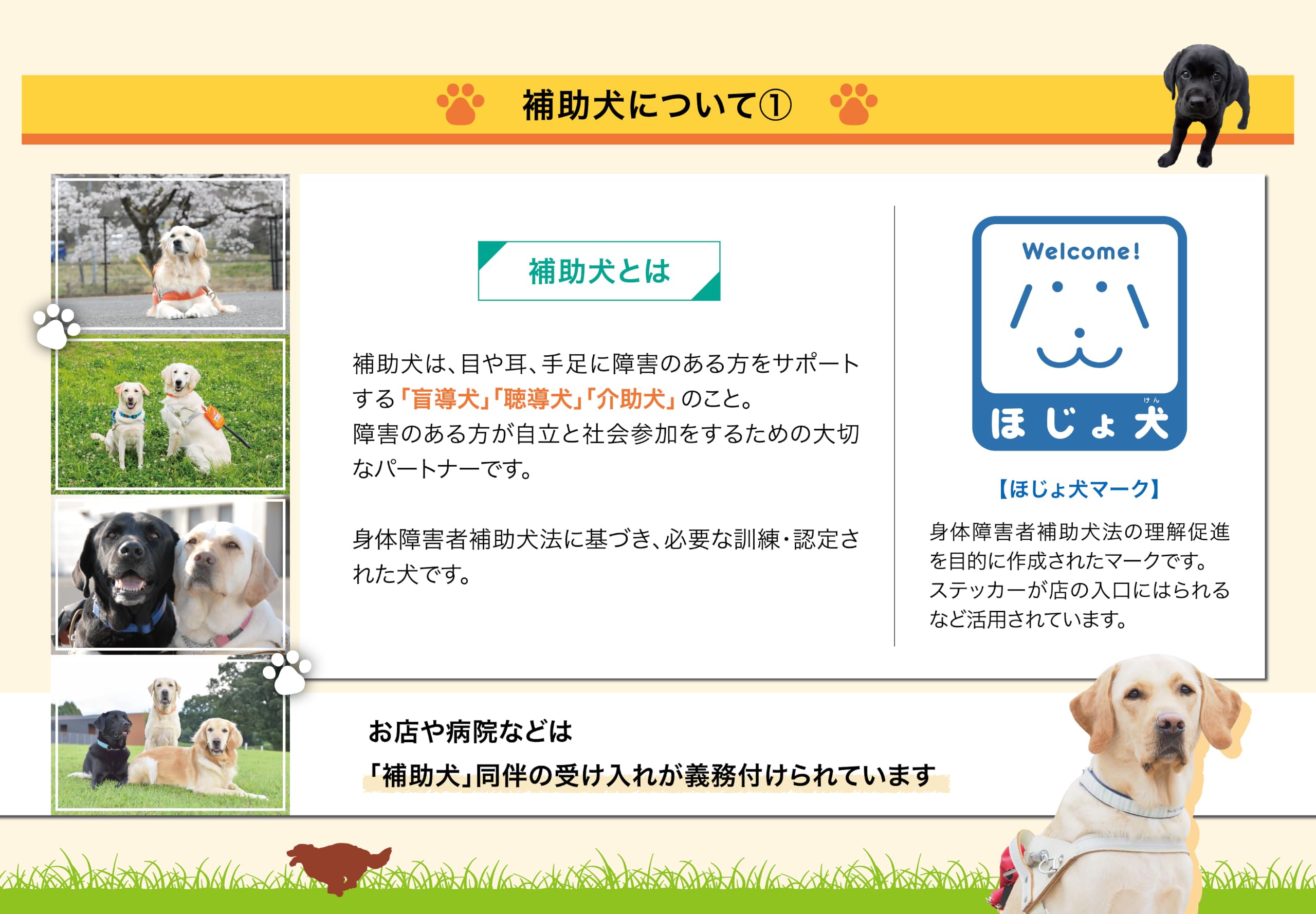 Amazon | 2027年日本盲導犬協会チャリティーカレンダー 卓上タイプ