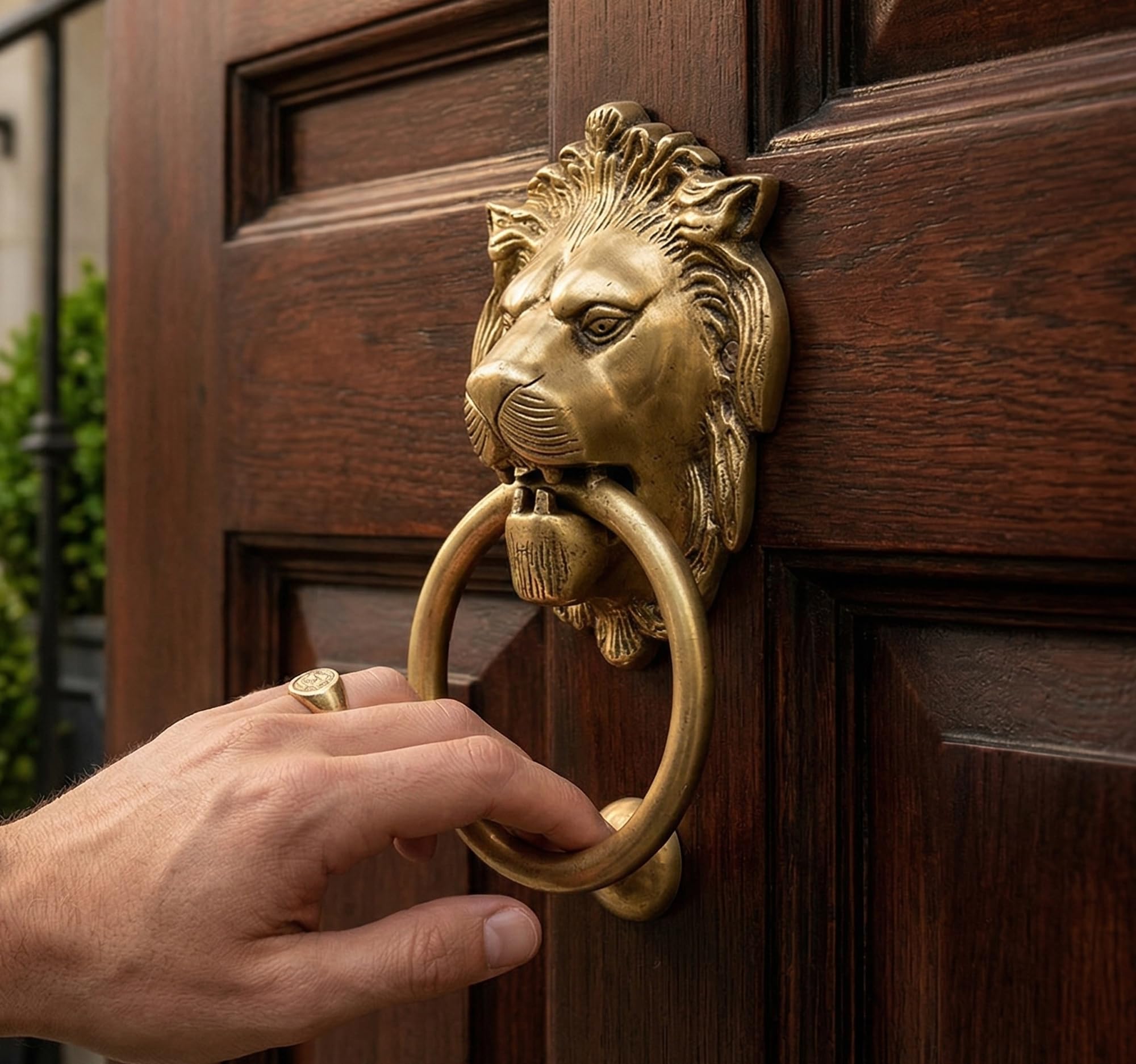Amazon | StonKraft 真鍮ライオンドアノッカーノッカーゲートノッカー