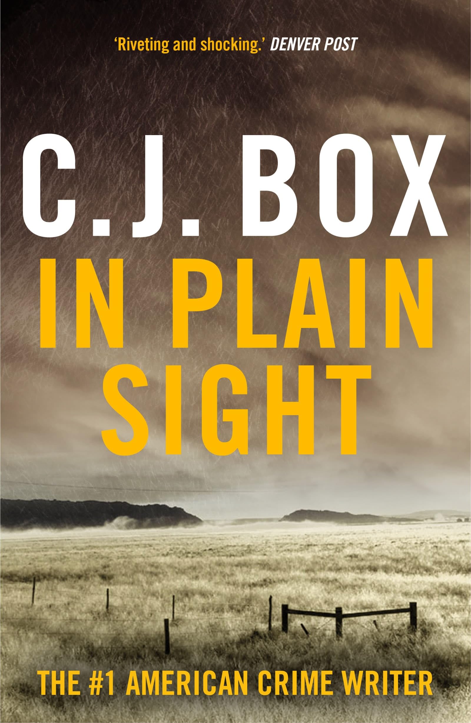 In Plain Sight: A Bestselling Joe Pickett Thriller Behind the Hit TV Show
