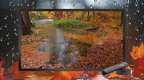 Meditação da chuva de outono - sons relaxantes e vídeo para Sono Profundo-experiência Premium para T