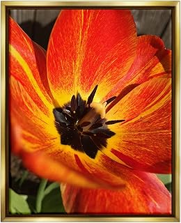 Stupell Industries Bold Red Poppy Flower Blossom Petals Floating Framed Wall Art, Design By Heidi Bannon