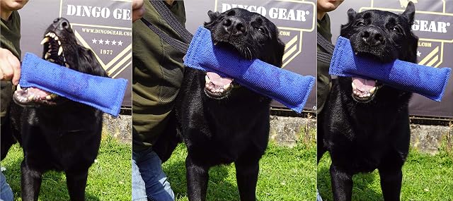 Foto 7 de 8 de Dingo Gear - Remolque de Nailon para Entrenamiento de Perros IGP IPO Schutzhund para búsqueda ciega de presas…