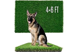 Artificial Grass for Dogs: Outdoor Turf Grass for Potty Training, Peeing, and Play