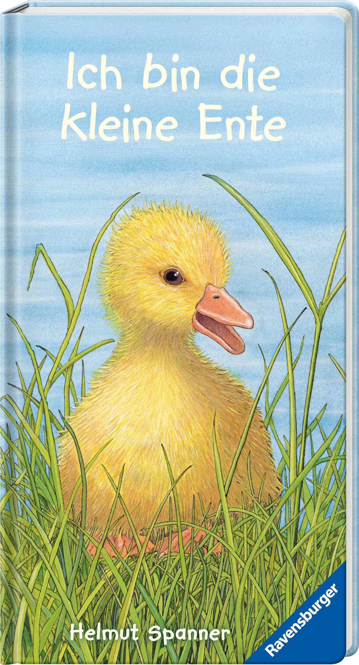Ich bin die kleine Ente