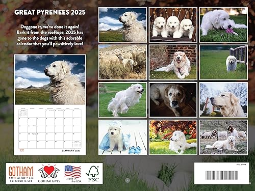 Vista 118 de Calendario Goldendoodle 2026 Golden Doodle mensual de pared calendario de 12 meses Fabricado en Estados Unidos