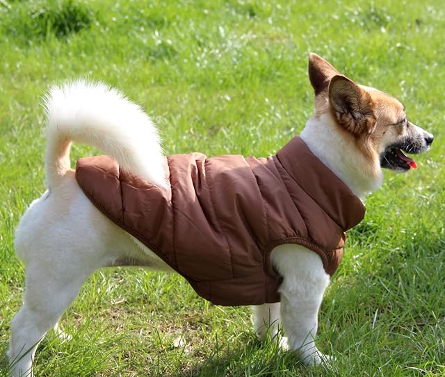Foto 4 de 8 de JoyDaog - Chaqueta de perro con forro polar de 2 capas para invierno y clima frío, extra suave, a prueba…