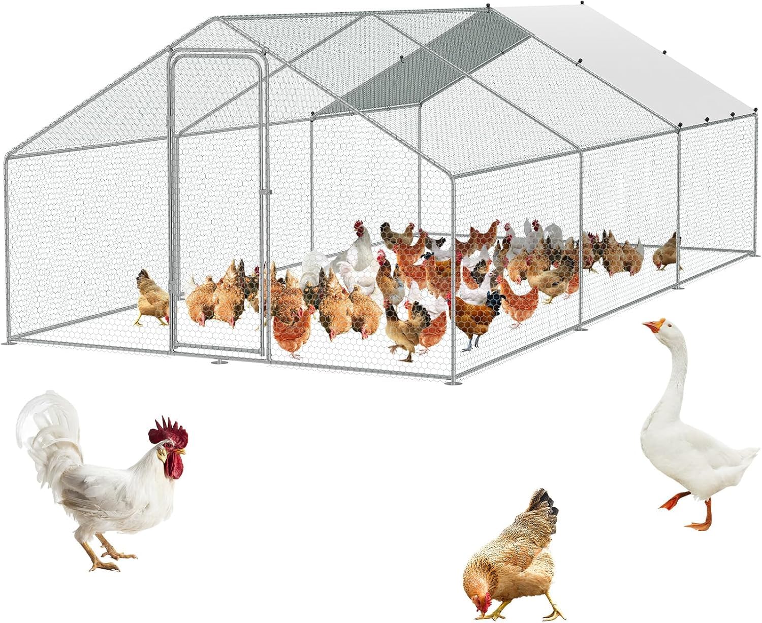 Grand Enclos Poulailler Extérieur 18 m² en Acier Galvanisé avec Bâche PE Résistante et Porte Verrouillable – Parc Grillagé pour Poules, Canards, Oies et Petits Animaux – 6 x 3 x 2 m