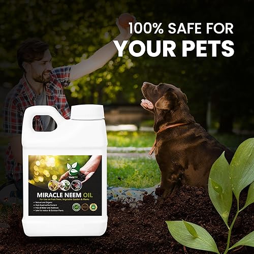 Miniatura 5 de Aceite concentrado de neem 100% puro prensado en frío para plantas y verduras de interior y exterior (16 onzas)