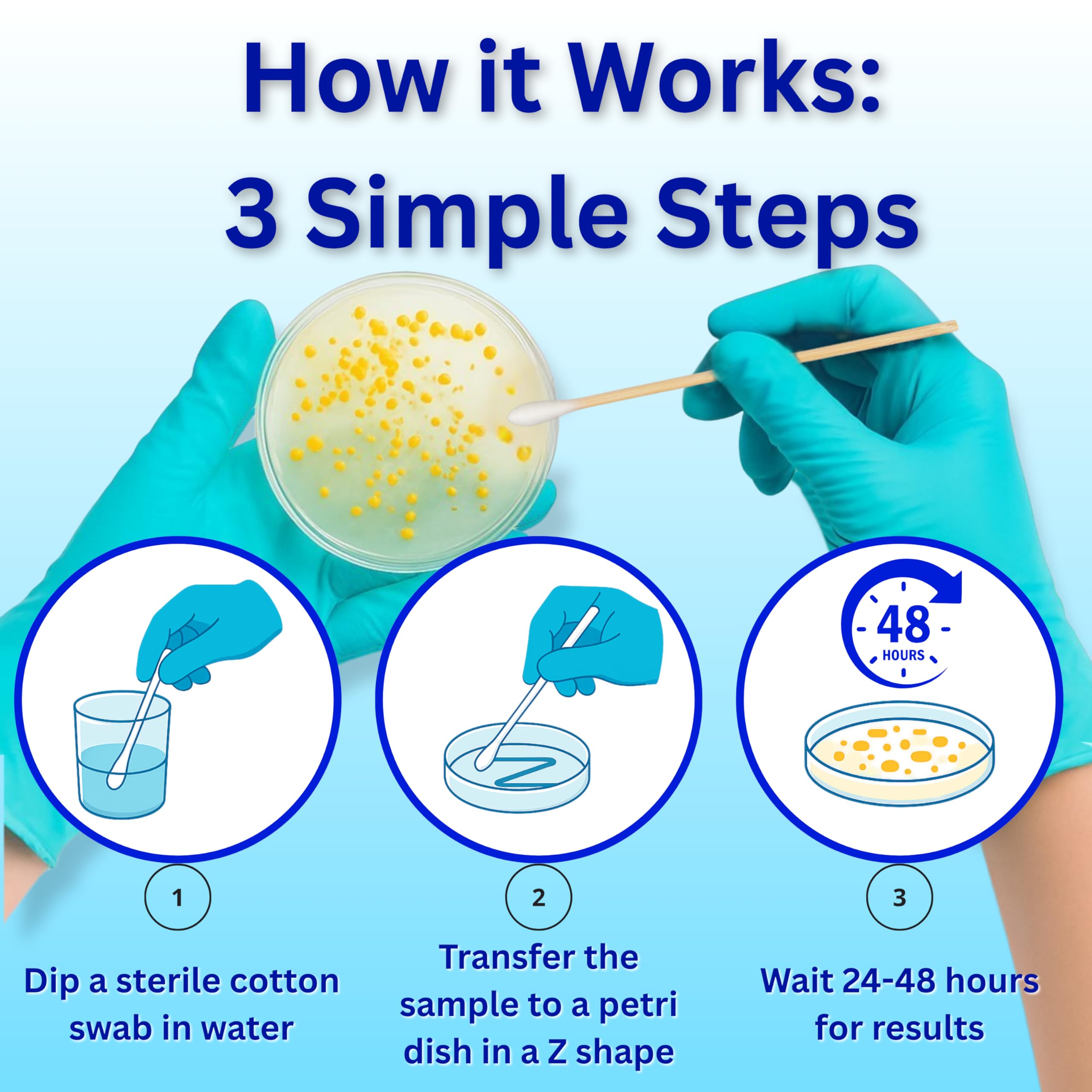 Evviva Sciences Water Bacteria Test Kit – 10 Tests for Total Bacteria, coliforms & E. coli. Lab-Ready agar Plates for Well, tap, Pool, & City Water. Fast DIY Results + Optional lab Report. - image 4
