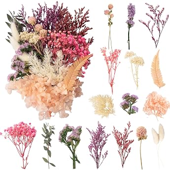 LAUMOE Dried Flowers, Dried Flowers, Dried Flowers for Crafts, Small Set for Art, DIY, Resin, Scrapbooking, Crafts, Cards Mak