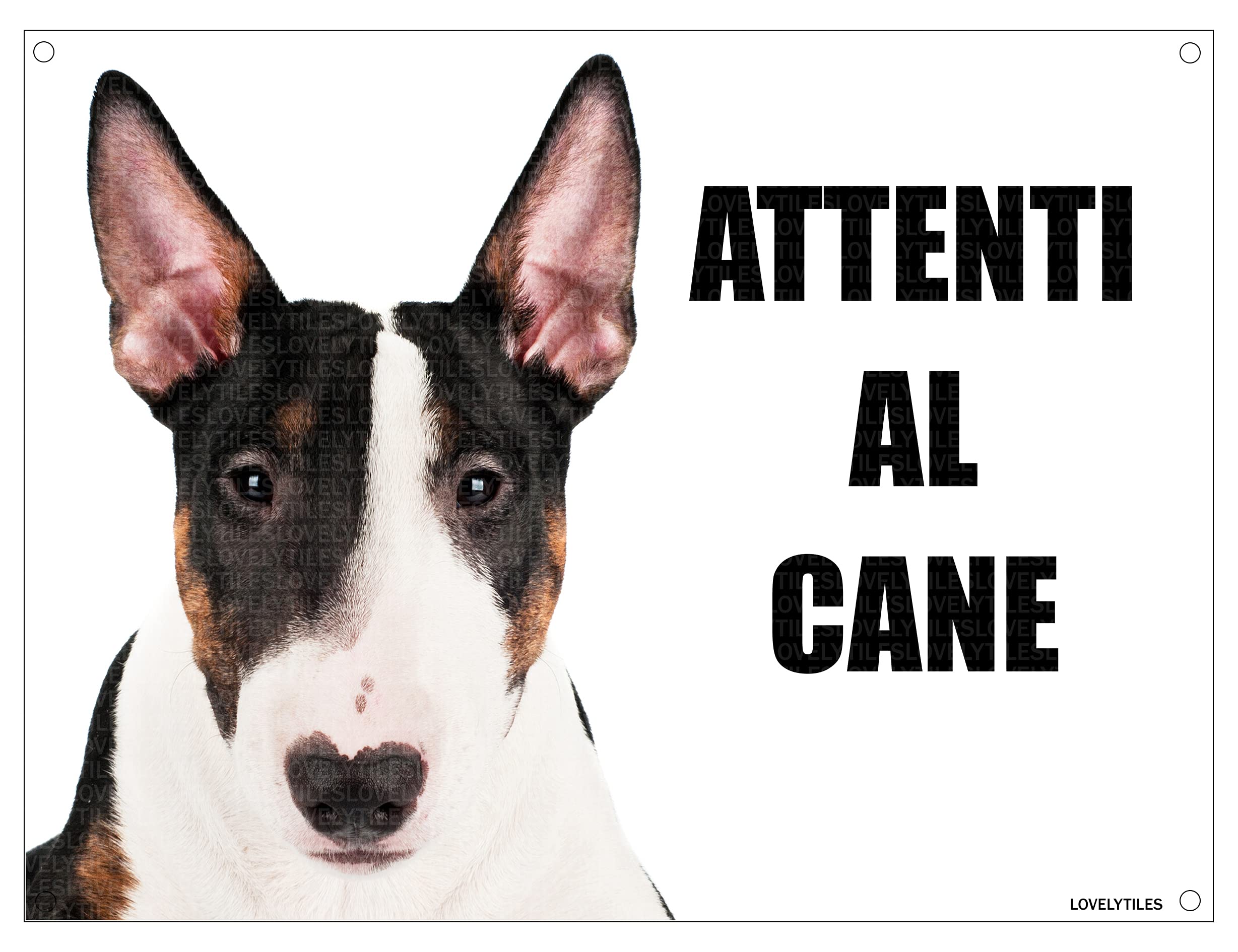 Cartello 'Attenti Al Cane' In Metallo 15x20cm - Targa Personalizzabile - Foto 8