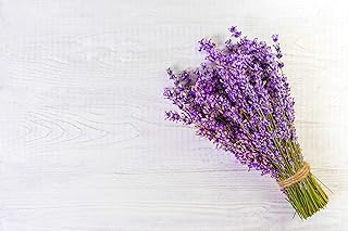 English Lavender Herb Seeds - Non-GMO