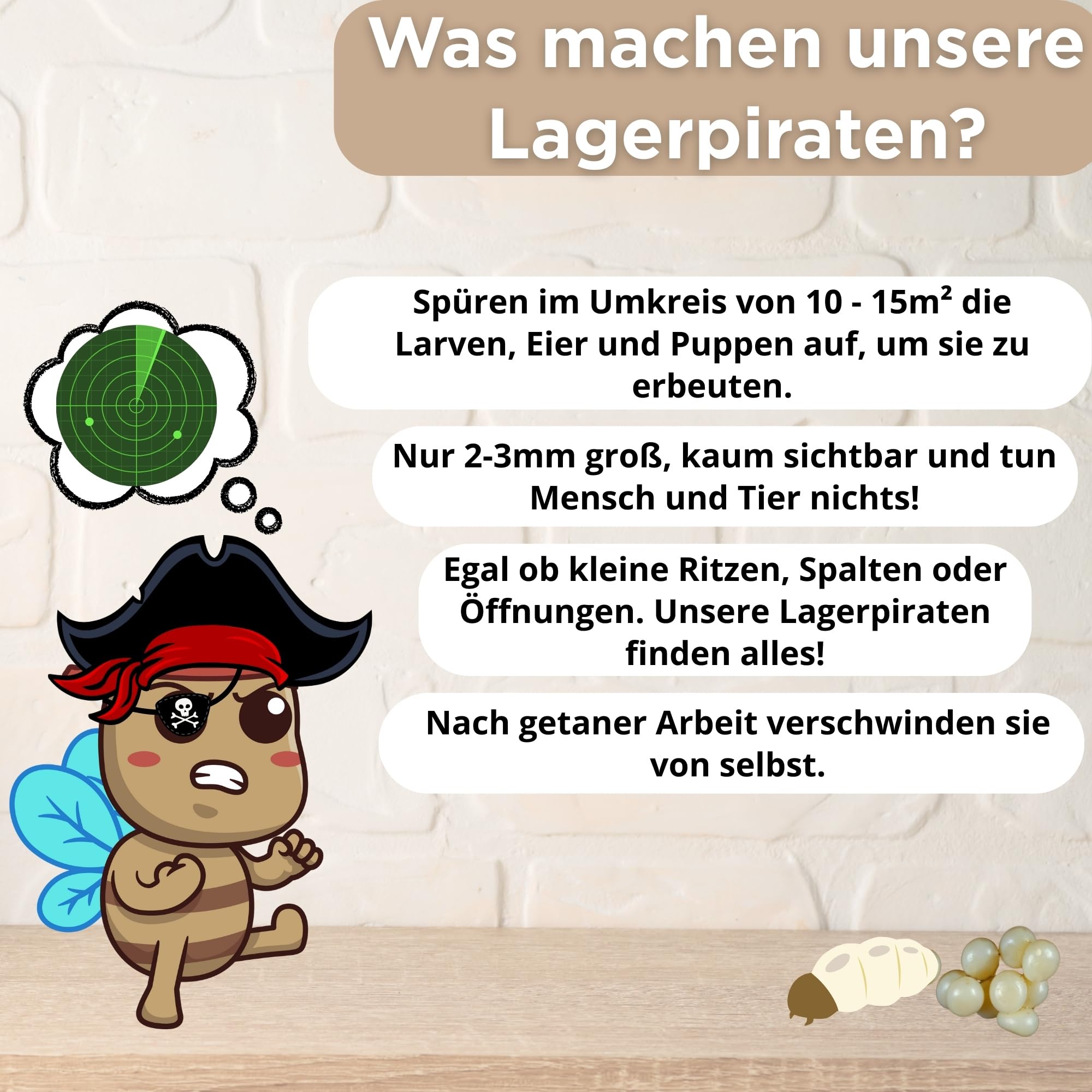 Lagerpiraten gegen Speckkäfer & Teppichkäfer – 100 % biologische Schädlingsbekämpfung ohne Chemie – 30 Nützlinge im Röhrchen – Made in Germany (3)