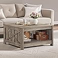 DWVO Square Coffee Table for Living Room Farmhouse Coffee Table with Storage,2-Tier Wood Center Table with Half Open Storage Compartment, Dark Rustic Oak