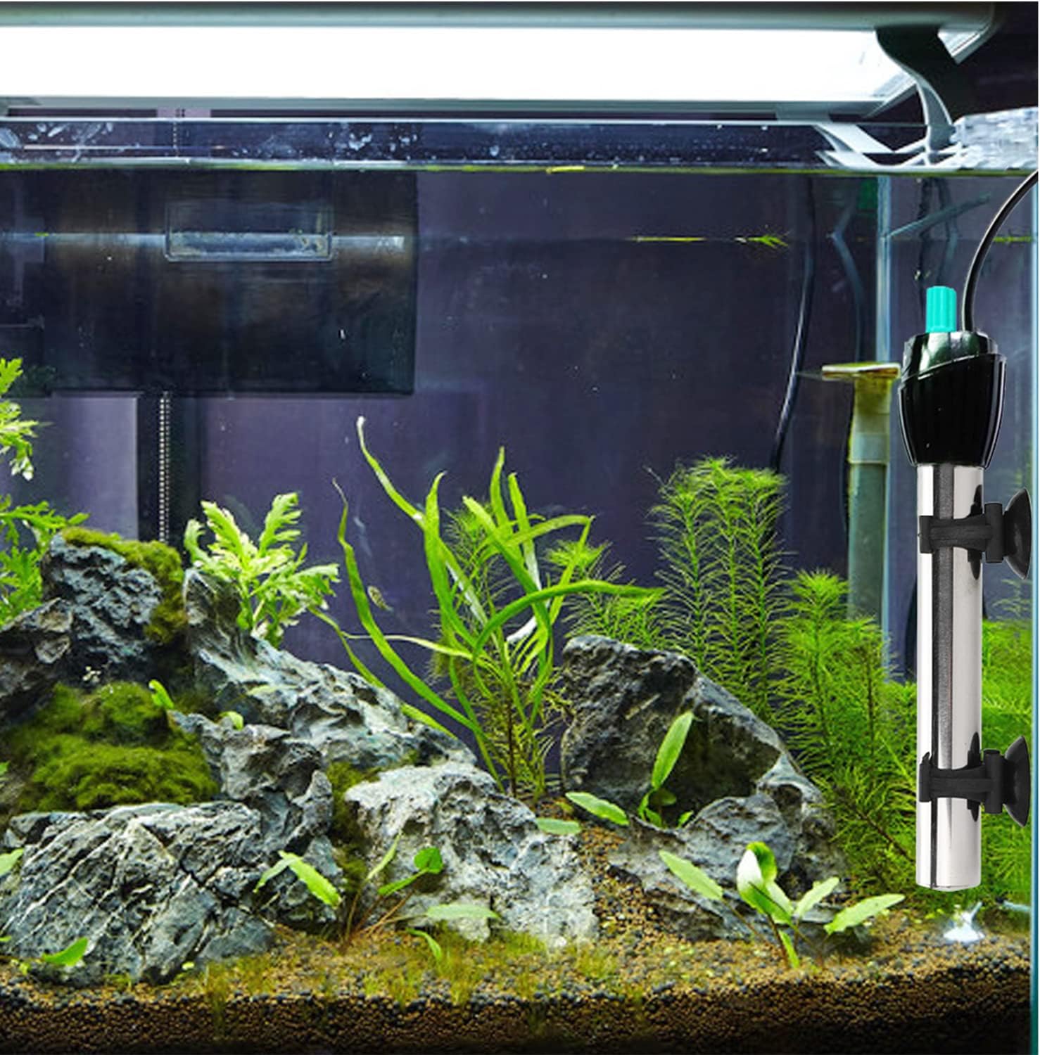 ファッション通販 Kimlonton水槽 ヒーター ミニアクアリウム 温度調節 オートヒーター 100w Hl 1 水槽用ヒーター 防水 防爆 水温管理用 水槽 熱帯魚 観賞魚用 Sungaipenuhkota Go Id