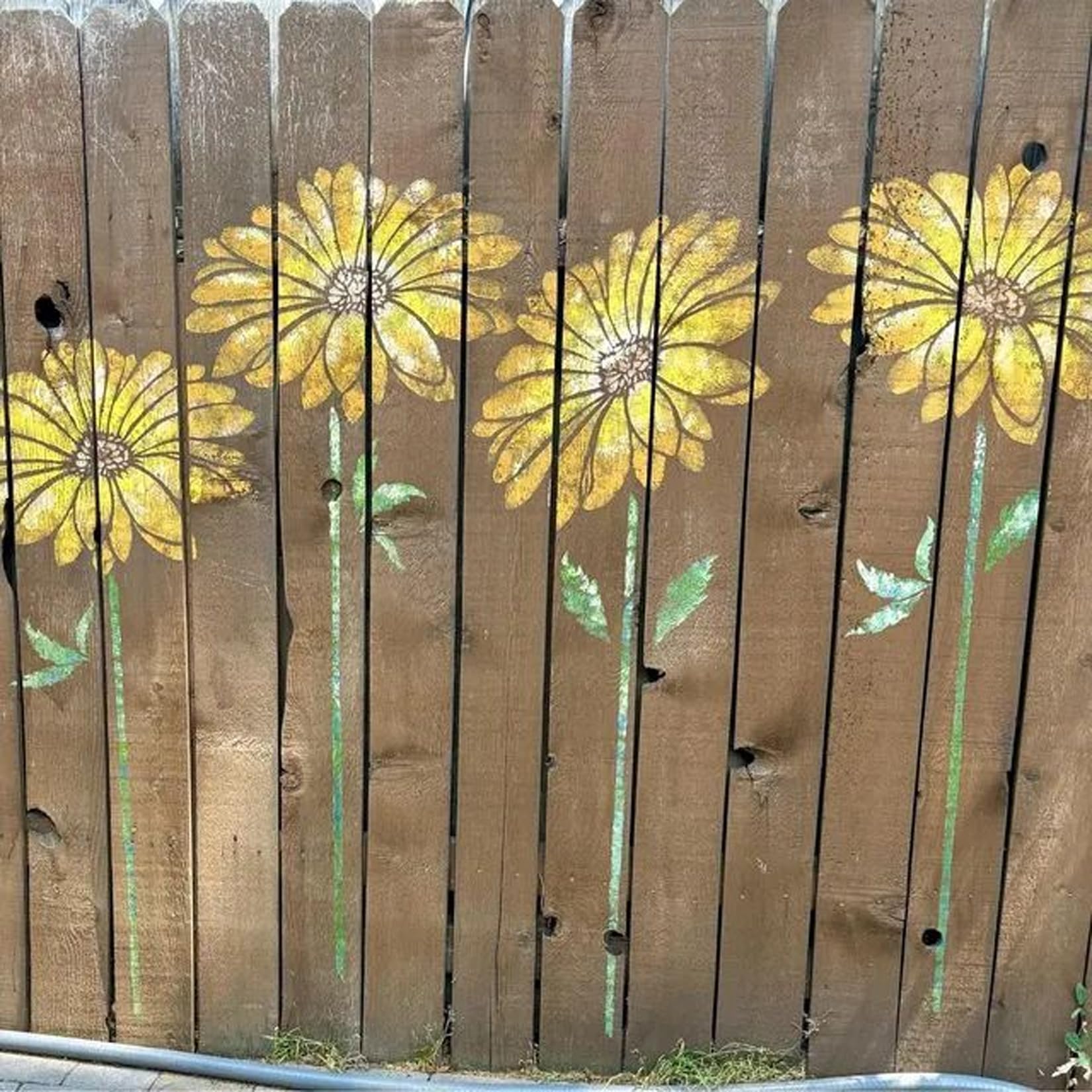 Amazon.com : DLY LIFESTYLE Large Sunflower Stencil for Painting (12x15 Inches) -Reusable Sun ...