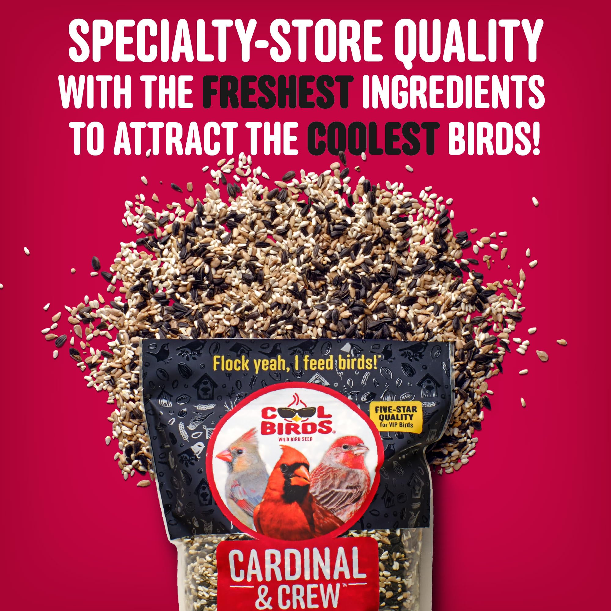 Cool Birds Cardinal & Crew - Semi di uccelli selvatici – 4,5 kg di olio nero di girasole, cuori di girasole e miscela di cartamo per cardinali, grosbeaks e pulcini – Mangime per uccelli da esterno