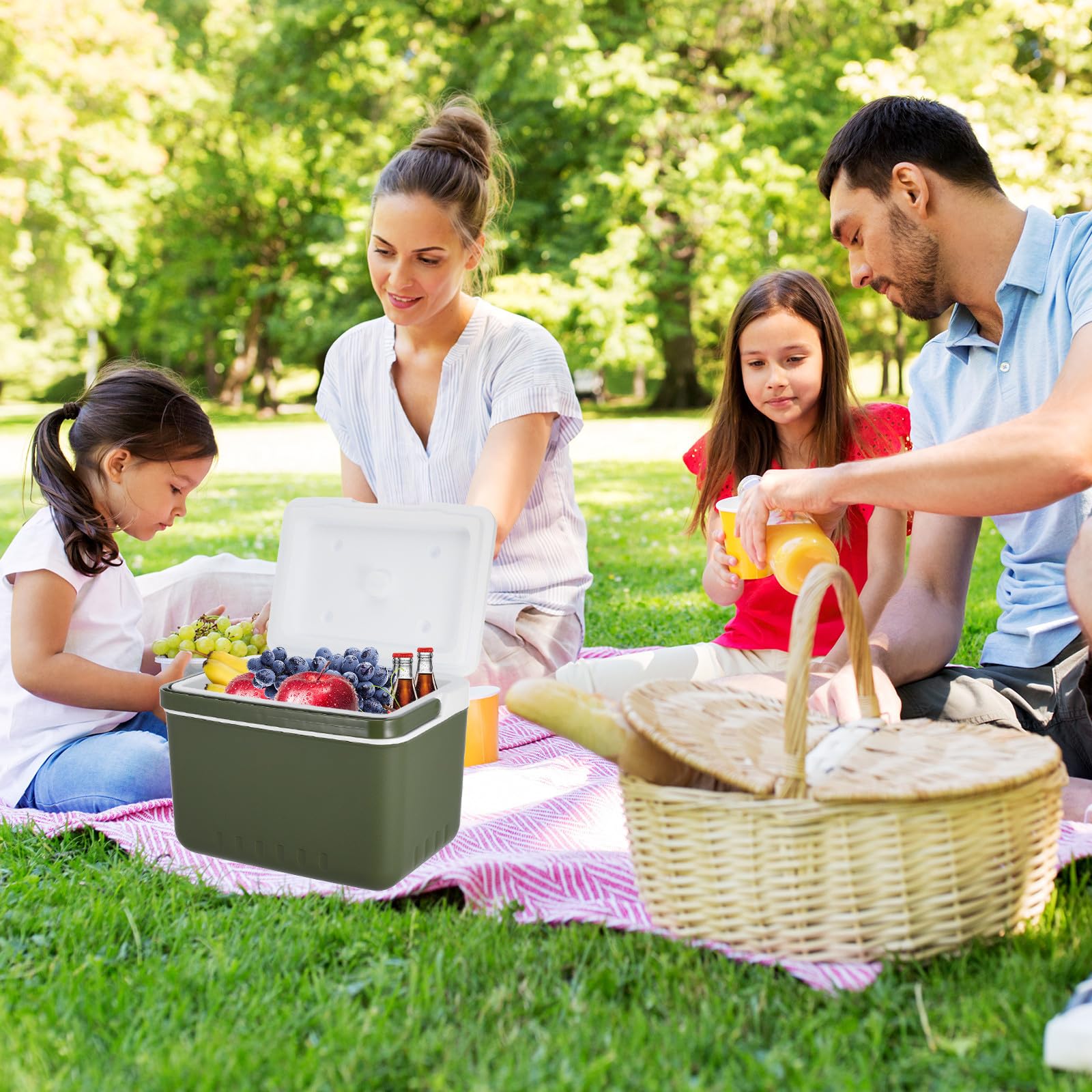 Mini Frigorifero Portatile 6l con Maniglia, Borsa Termica Rigida Isolata per Campeggio, Picnic e Viaggi in Auto, Contenitore Termico per Alimenti da Esterno, Scatola Refrigerante