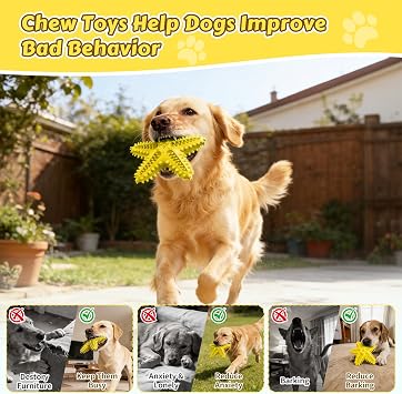 Dog Chew Toys Interactive Tough Floating Squeaky Toy