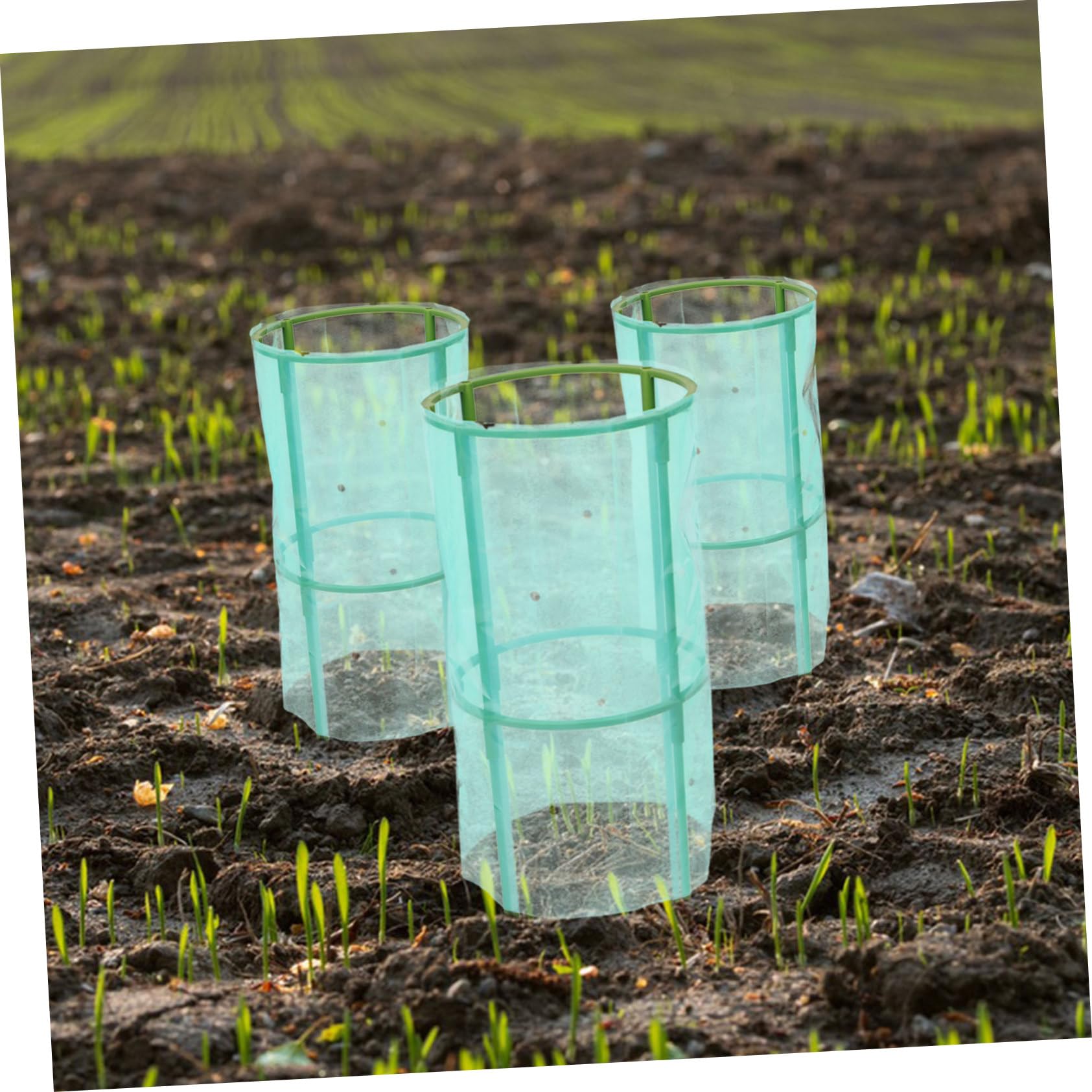 4 Set Proteggere Le Piante protettori delle Piante in Gabbia Antivento Protettore vegetale Green