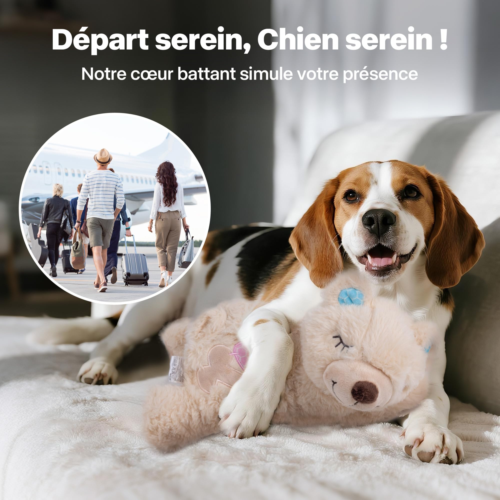 Pet Prime Peluche Apaisante pour Chien (Ours) – avec Battement de Cœur & Sac Chauffant, Anti-Stress, Sommeil Paisible, Idéal Contre l'Anxiété de Séparation