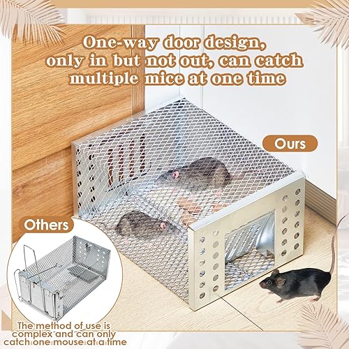 Miniatura 6 de 2 piezas trampa para ratas, jaula para ardillas, trampa para animales pequeños, para interiores y exteriores, para ratas, ratones, ardillas,