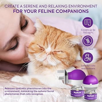 TopSum Cat Calming Plug-in: Premium Cat Pheromone Diffuser - Cat Plug In Calmer - Pet Calming Plug In - Promotes Relaxation & Well-Being, 2 Pack (Amethyst)