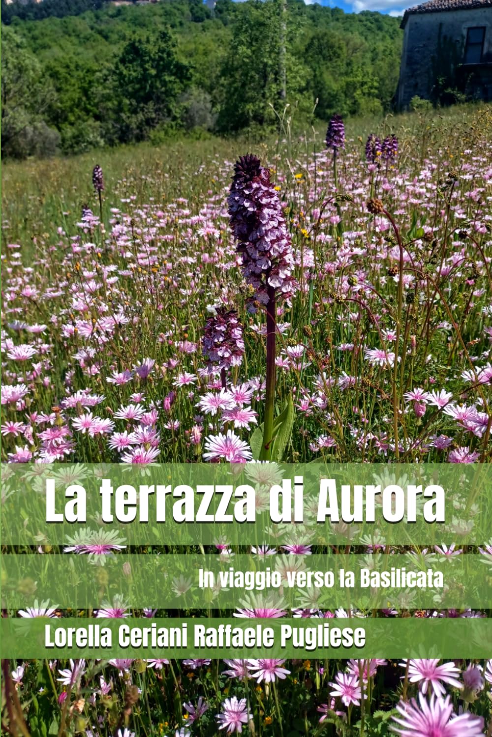 La terrazza di Aurora: In viaggio verso la Basilicata