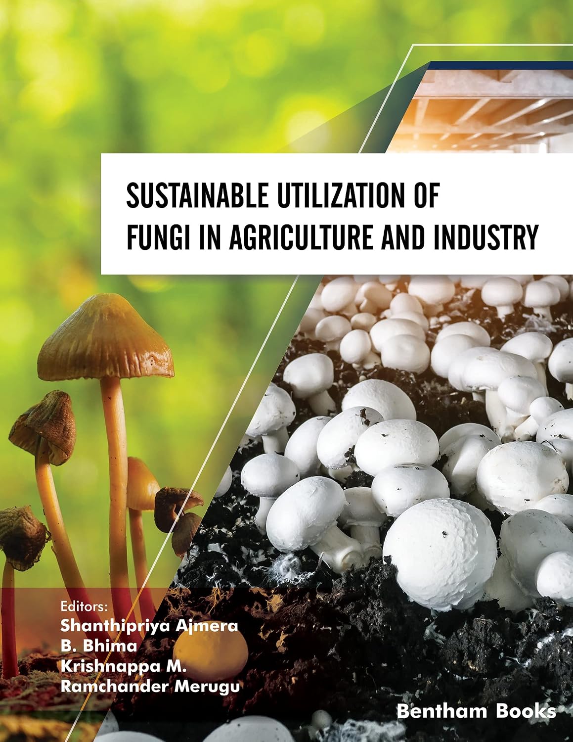Sustainable Utilization of Fungi in Agriculture and Industry (Mycology: Current and Future Developments)