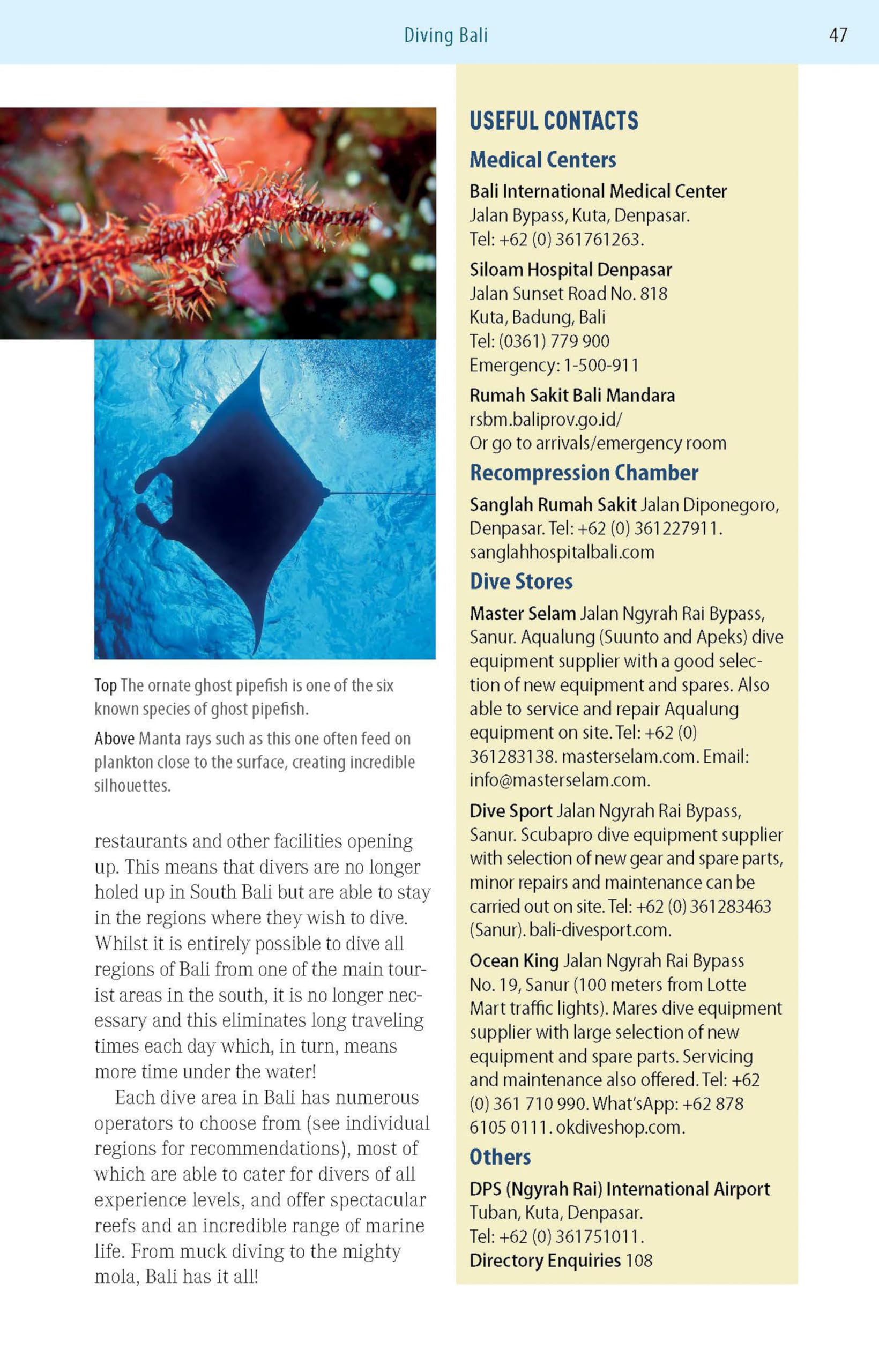The Ultimate Guide to Diving in Indonesia: Exploring the Tropical Seas with the World's Greatest Marine Biodiversity