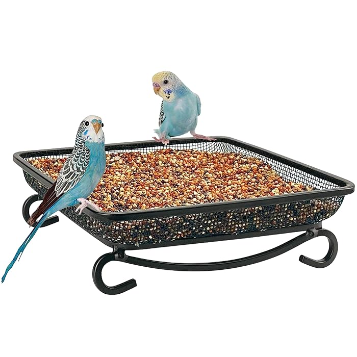 Buy MIXXIDEA Ground Platform Bird Feeder Tray, Metal Mesh Seed Tray for