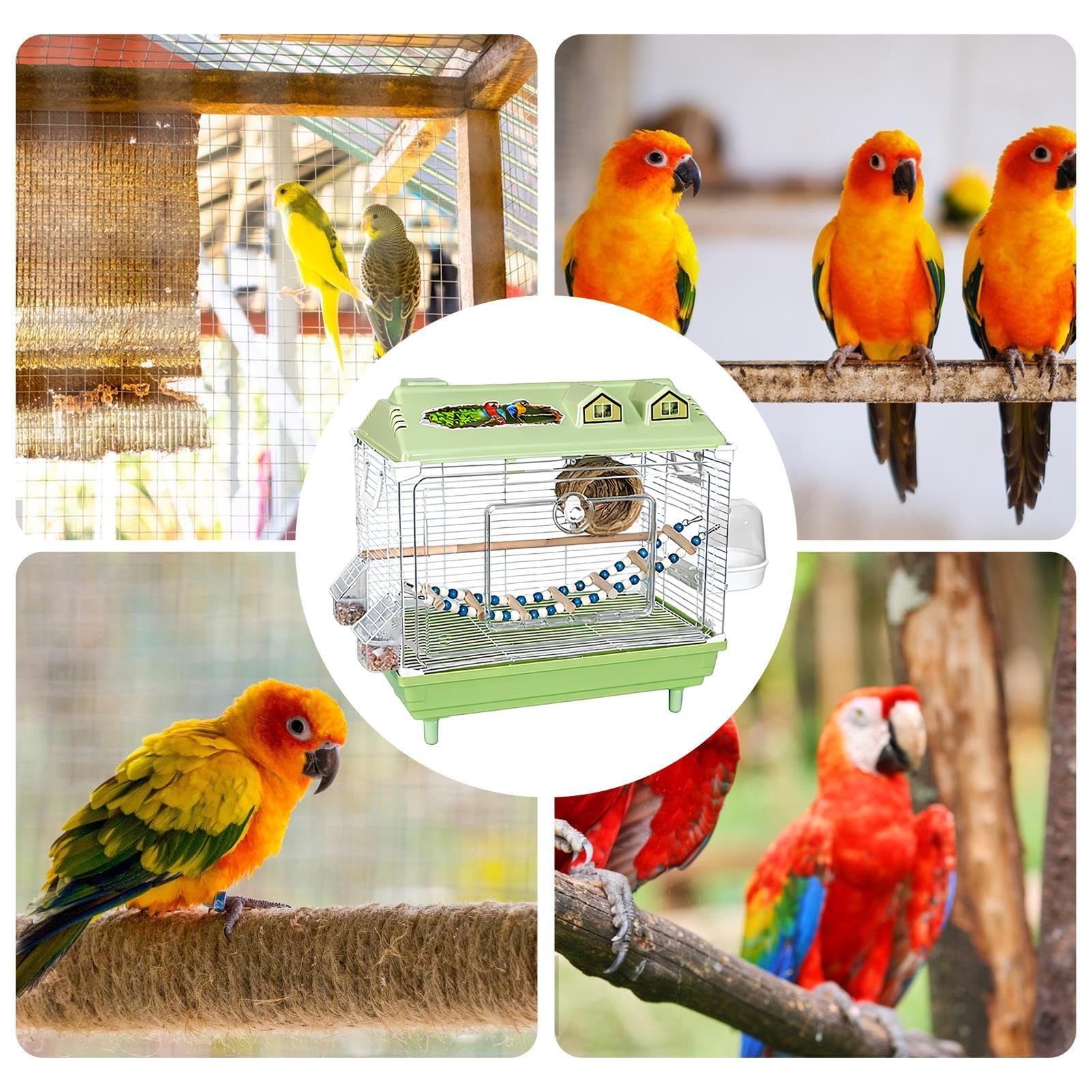 Jaula para Aves y Pájaros Transportín Portátil Transparente Para Ninfas | Jaula para Periquitos con Percha de Madera Para Guacamayos, Conuros, Cacatúas, Pinzones Y Agapornis De Interior