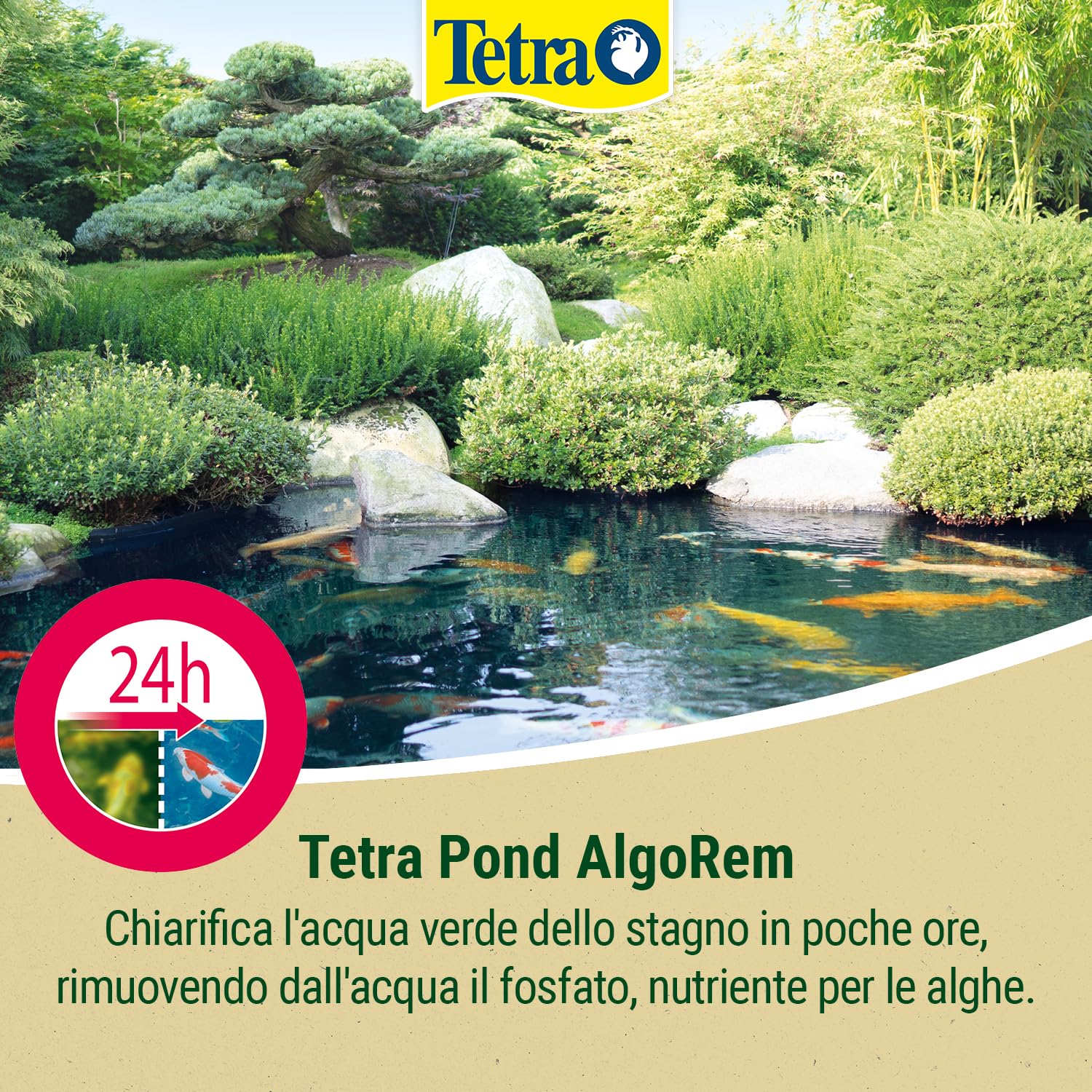 Tetra Pond AlgoRem 500 ml, Agisce Rapidamente e in Modo Mirato Contro Il Fenomeno dell’Acqua Verde (Alghe Sospese)