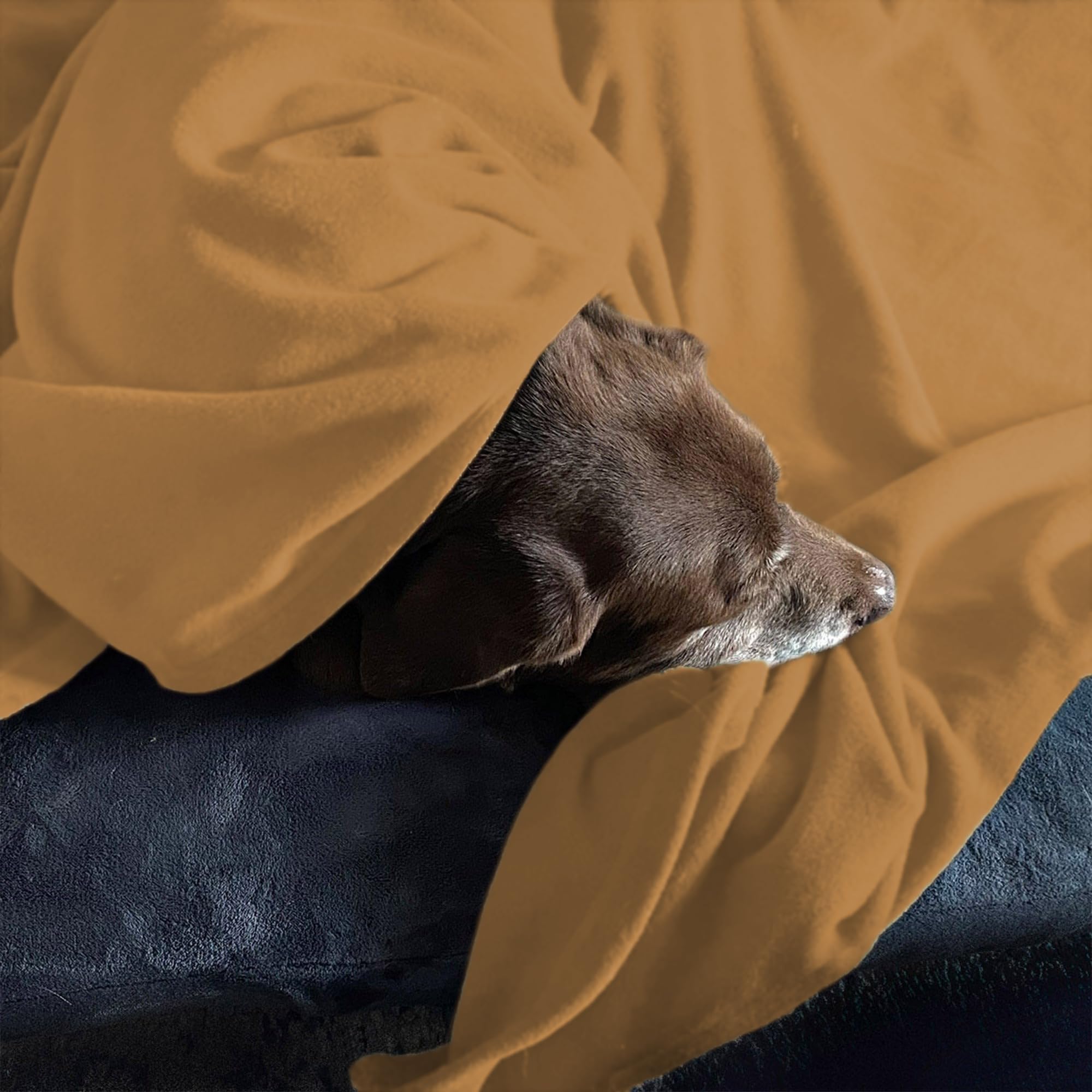 THE HOME TALK Fleece Blanket for Kids/Pets-42X29 Inch-Pack of 1|Polar Thermal Lightweight Spread|Soft Plush Material|All Season Comfort Blankets for Small Kids|Pet Blankets for Dogs, Cats(Camel) 1