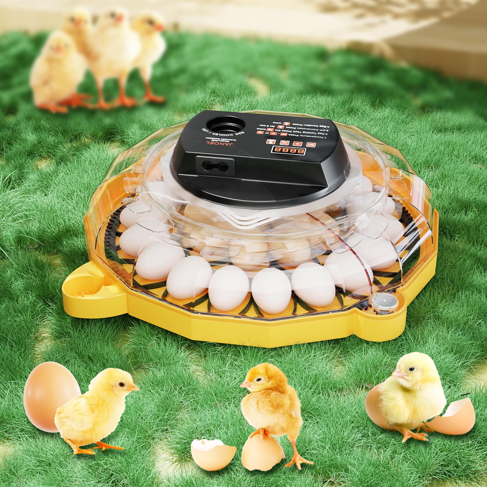 Incubadora automática de huevos de 26 huevos, control automático de humedad y volteo, temperatura ajustable Pantalla LED para huevos de aves de corral, codorniz y paloma (plato de huevos + plato de